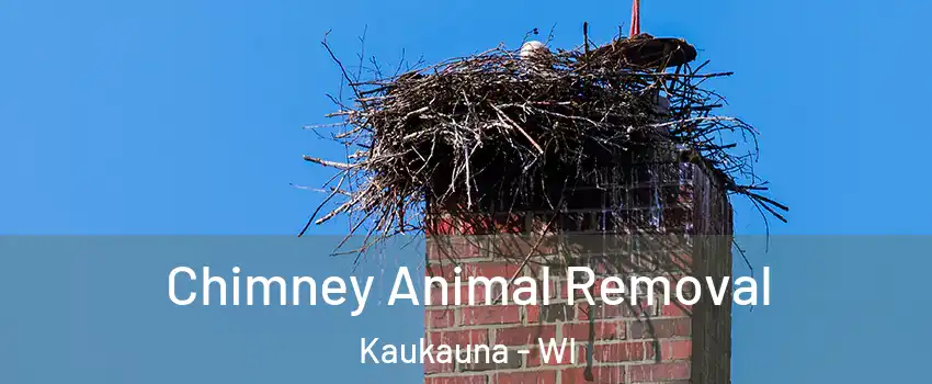  Chimney Animal Removal Kaukauna - WI