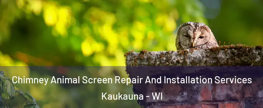  Chimney Animal Screen Repair And Installation Services Kaukauna - WI