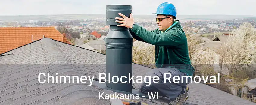  Chimney Blockage Removal Kaukauna - WI