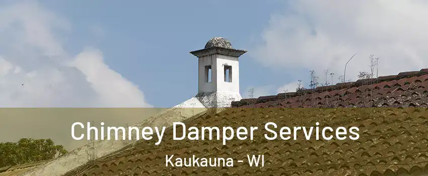  Chimney Damper Services Kaukauna - WI