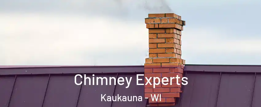 Chimney Experts Kaukauna - WI