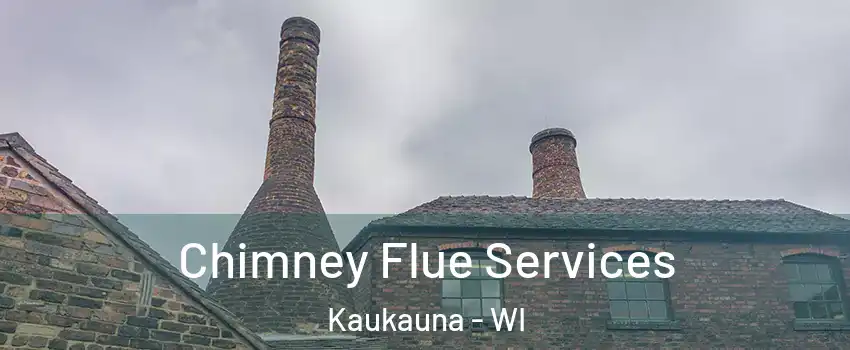  Chimney Flue Services Kaukauna - WI