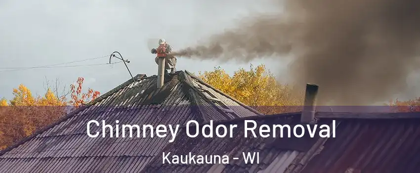  Chimney Odor Removal Kaukauna - WI
