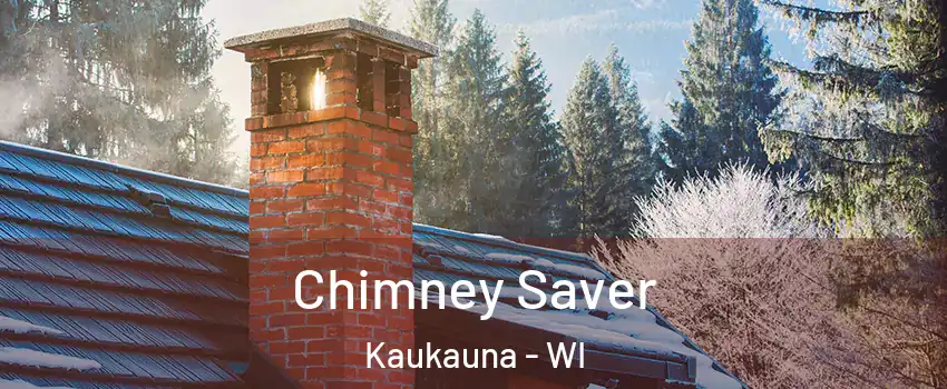  Chimney Saver Kaukauna - WI