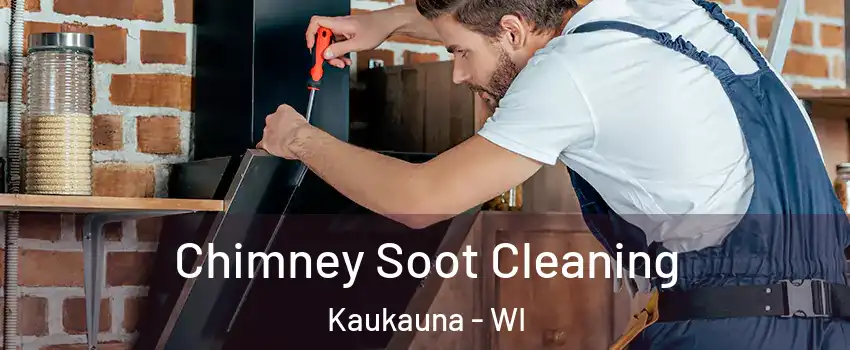  Chimney Soot Cleaning Kaukauna - WI