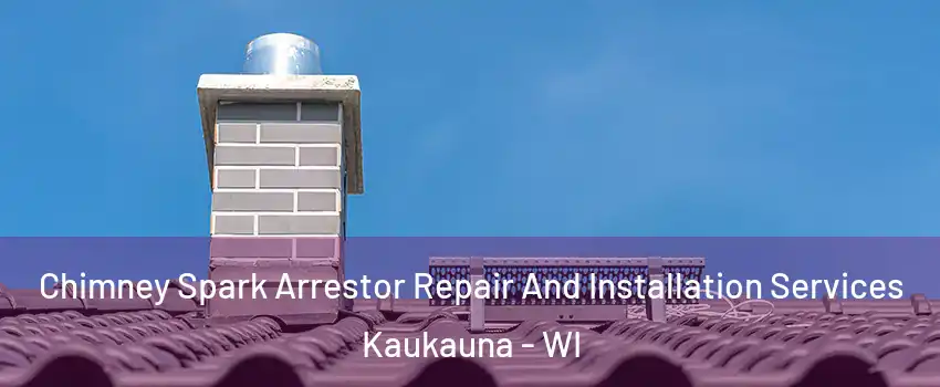  Chimney Spark Arrestor Repair And Installation Services Kaukauna - WI