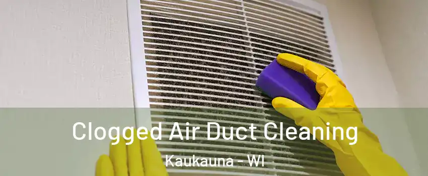  Clogged Air Duct Cleaning Kaukauna - WI