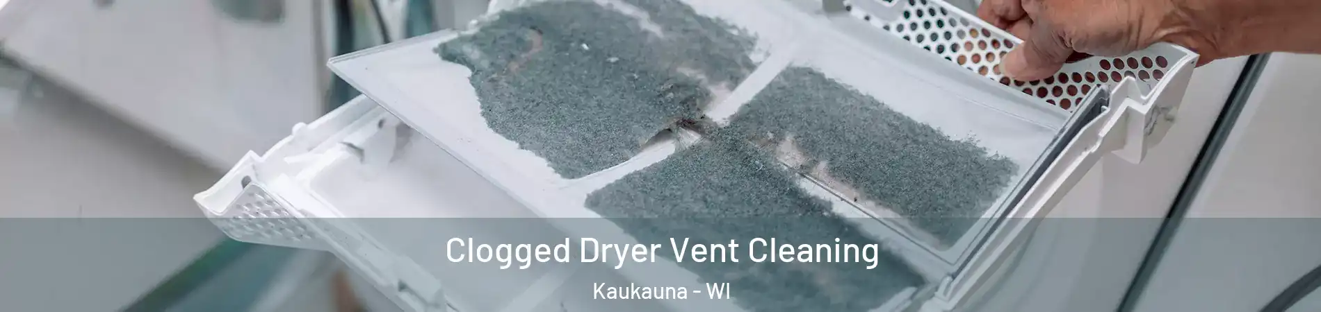  Clogged Dryer Vent Cleaning Kaukauna - WI
