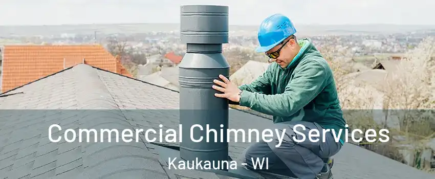  Commercial Chimney Services Kaukauna - WI
