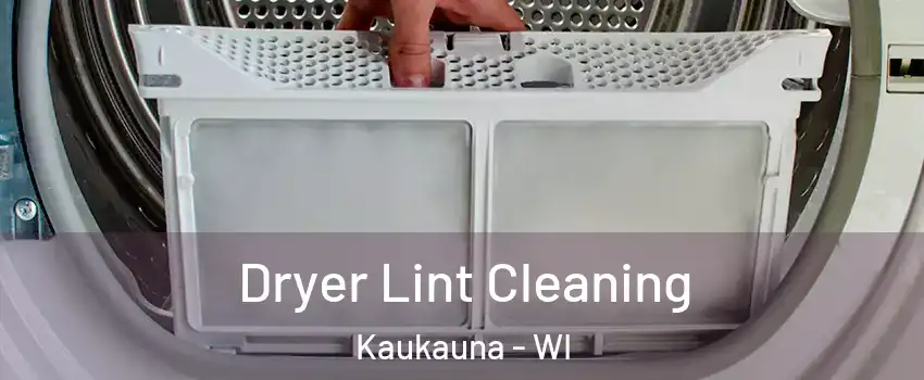  Dryer Lint Cleaning Kaukauna - WI