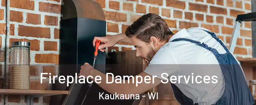  Fireplace Damper Services Kaukauna - WI