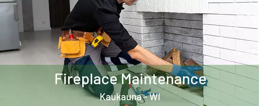  Fireplace Maintenance Kaukauna - WI