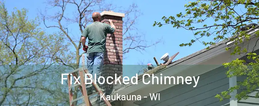  Fix Blocked Chimney Kaukauna - WI