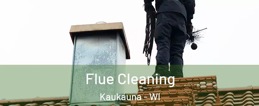  Flue Cleaning Kaukauna - WI