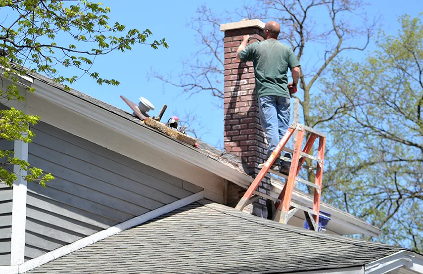 Chimney & Fireplace Inspections Services in Kaukauna, WI
