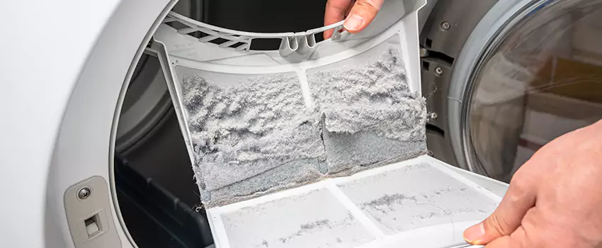 Best Dryer Lint Removal Company in Kaukauna, Wisconsin