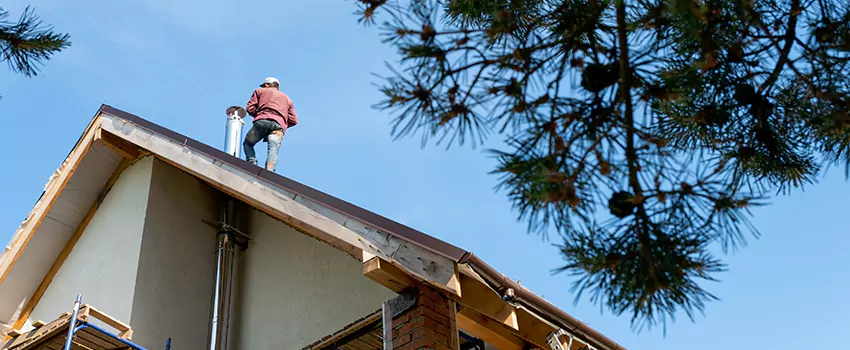 Birds Removal Contractors from Chimney in Kaukauna, WI