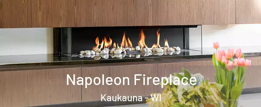  Napoleon Fireplace Kaukauna - WI