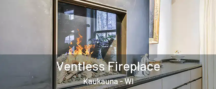  Ventless Fireplace Kaukauna - WI