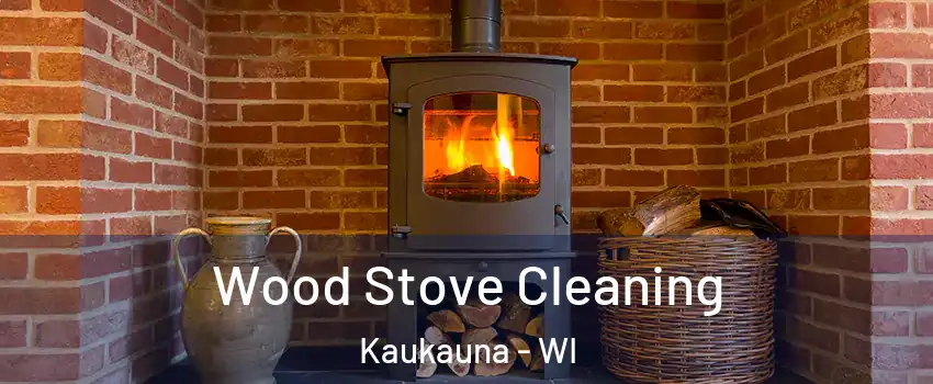  Wood Stove Cleaning Kaukauna - WI